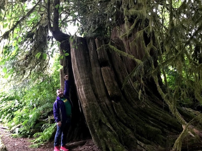 Lake Quinault