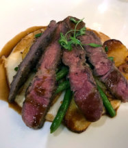 Holland America Line Eurodam