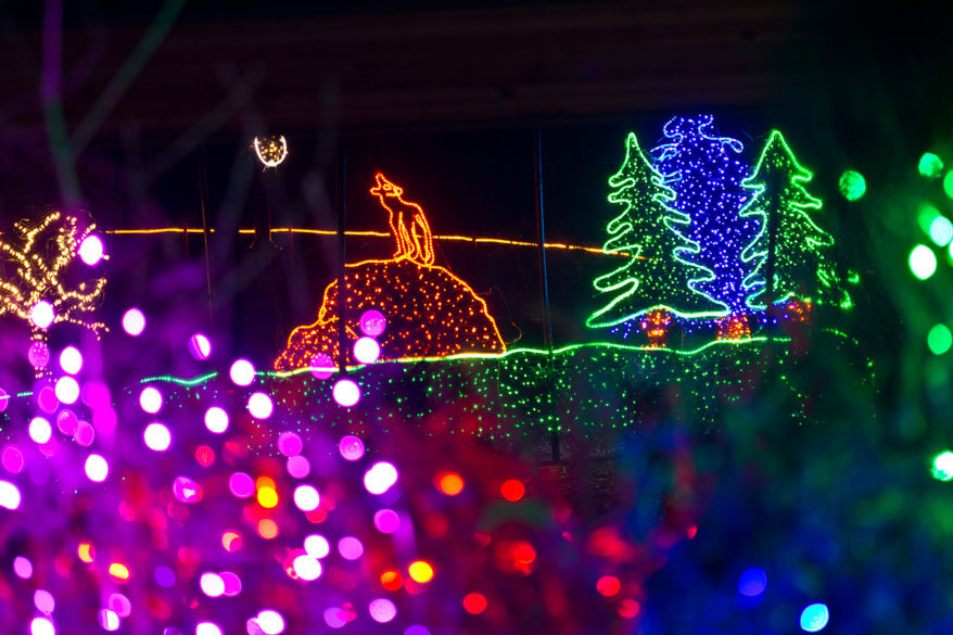 Point Defiance Zoolights